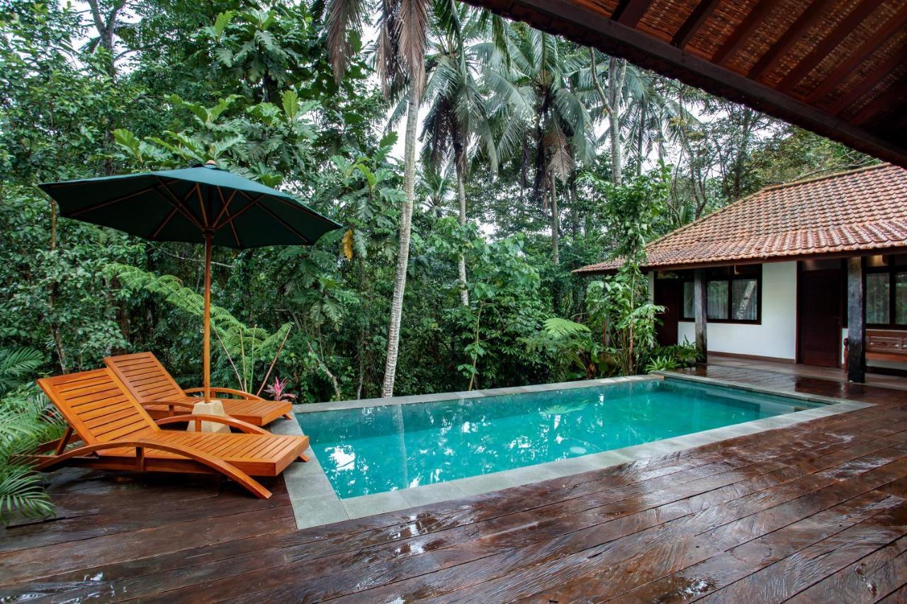 3 Bedroom Gadang Apartment Ubud